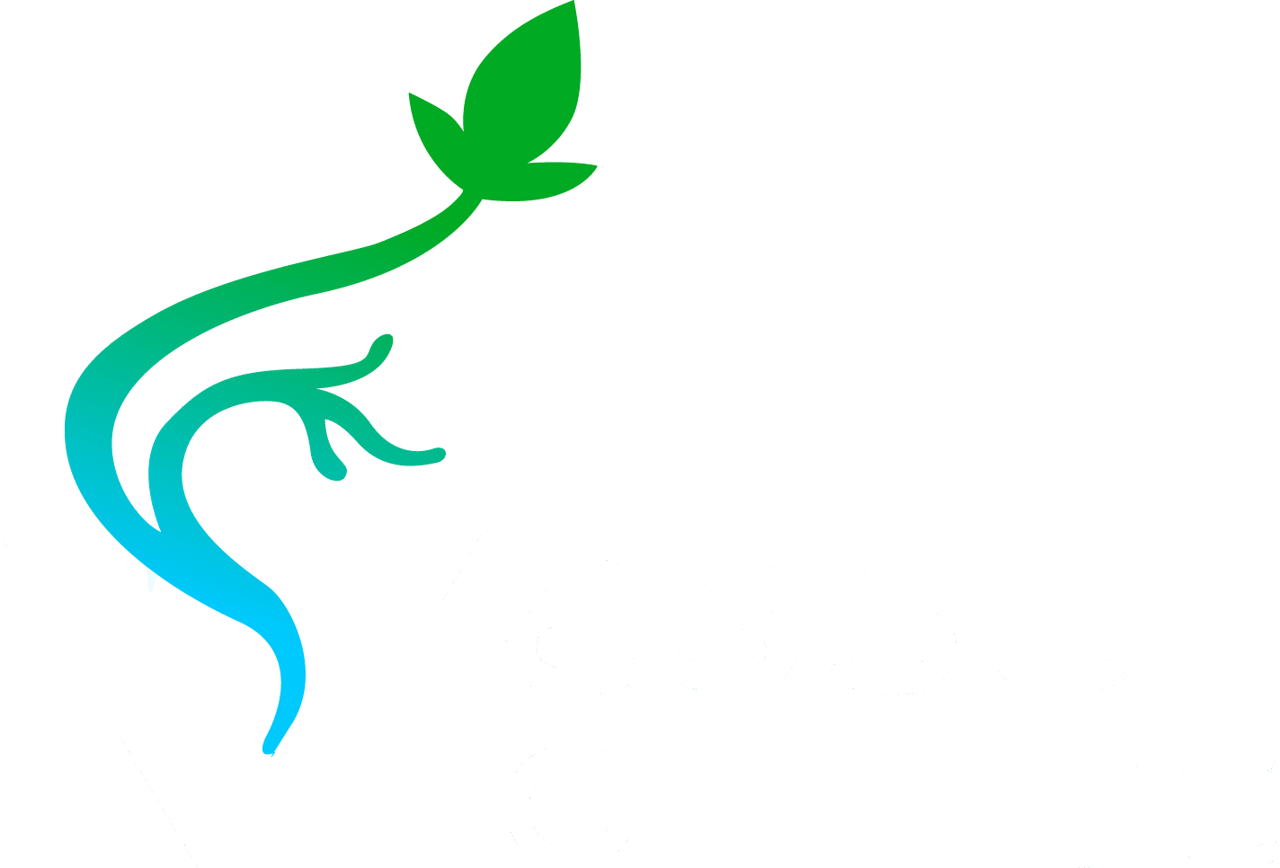 Vessel Of Life
